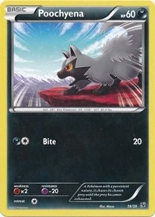 Poochyena (16/39) [XY: Kalos Starter Set]