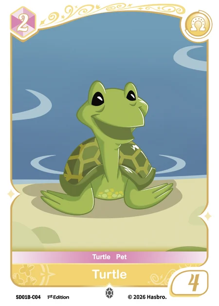 Turtle | SD01B-C04 | C